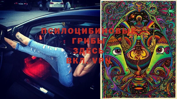 мяу мяу мука Балабаново