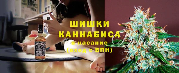 ГАЛЛЮЦИНОГЕННЫЕ ГРИБЫ Балахна